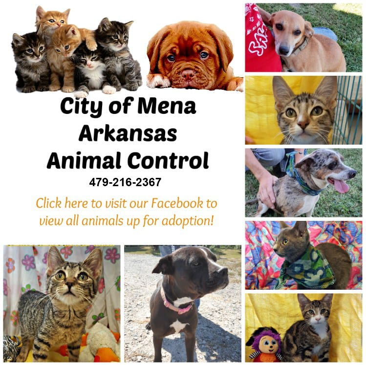 City of Mena, Arkansas » Animal Control